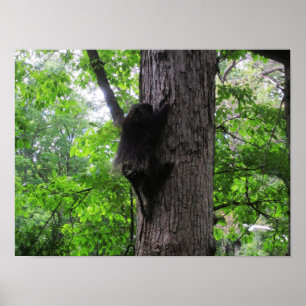 Klimmen hoog poster