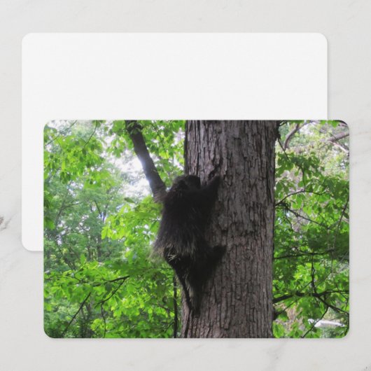 Klimmen van High Flat Holiday Kaart (Voorkant / Achterkant)