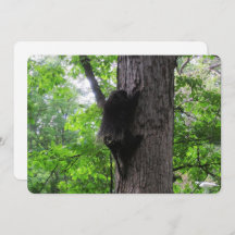 Klimmen van High Flat Holiday Kaart