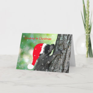 Klimmen Wasbeer Kerst Kaart