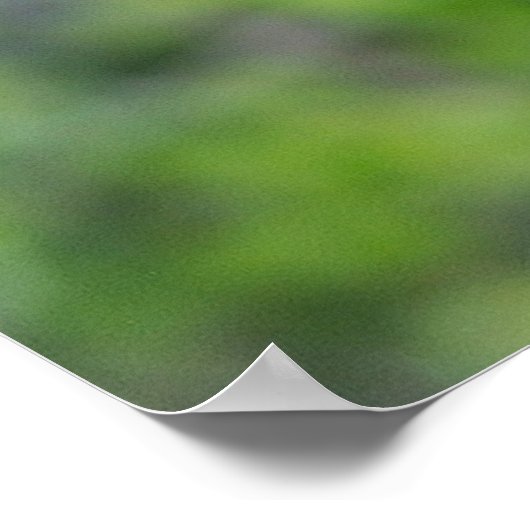 Klimmende Beer Poster (Hoek)