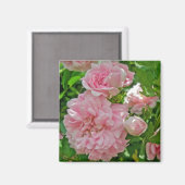 Klimmende Roos Magnet (Voorkant / Achterkant)