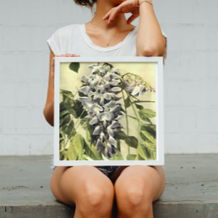 Klimmende Wisteria-vinnen Acrylverf Poster