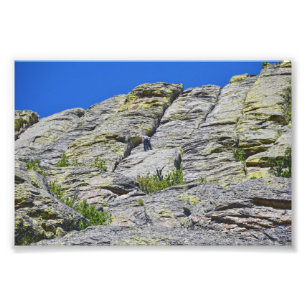 Klimmer nadert top van Devils Tower, Wyoming Foto Afdruk