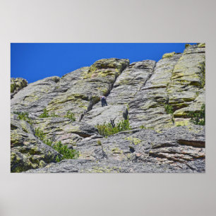 Klimmer nadert top van Devils Tower, Wyoming Poster