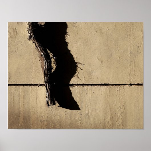 Klimop en Schaduw Poster (Voorkant)