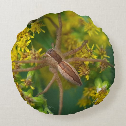 Klimopspin Kussen (Achterkant)