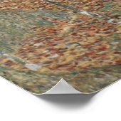 Klimt Birch Forest – Serene herfstlandschapskunst Poster (Hoek)