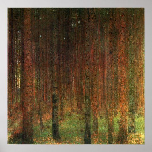 Klimt - Pine Forest 1901 Poster (Voorkant)