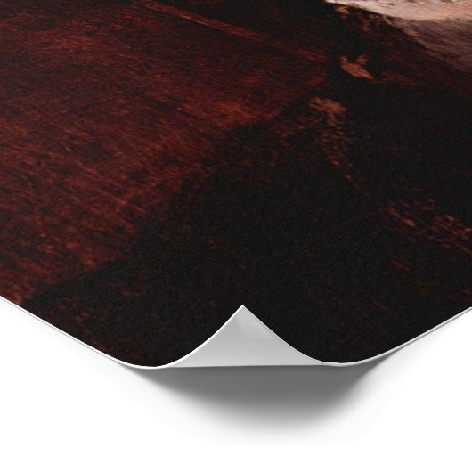 Klimt - portret van de dame 1894 poster (Hoek)