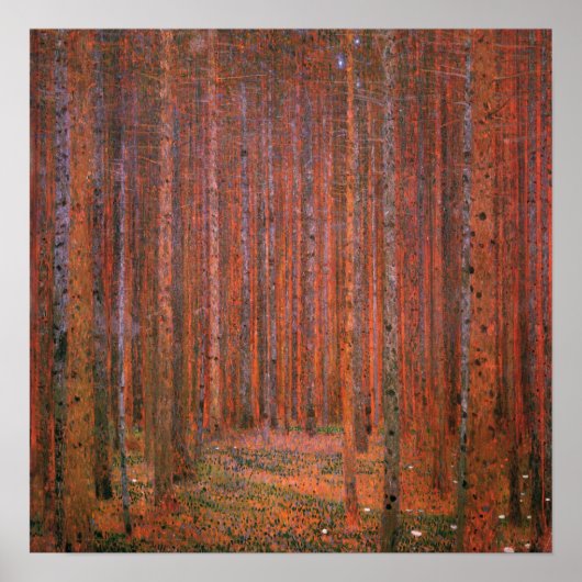 Klimt - Sparrenbos 1901 Poster (Voorkant)