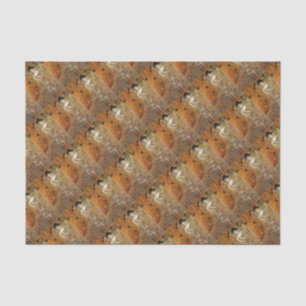 Klimt's portret van Adele Bloch-Bauer Tissuepapier