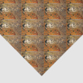 Klimt's portret van Adele Bloch-Bauer Tissuepapier (Detail)