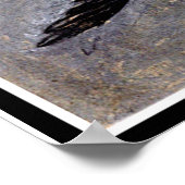 Klint - The Swan, nr. 24, Groep 1X SUW Poster (Hoek)