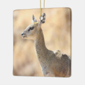 Klipspringer-antilope Keramisch Ornament (Links)