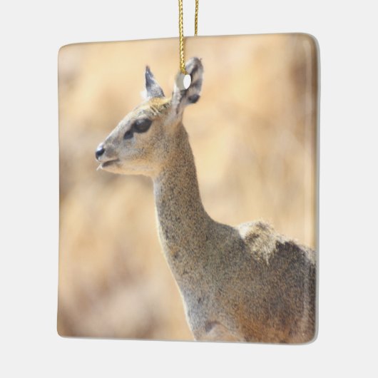 Klipspringer-antilope Keramisch Ornament (Links)