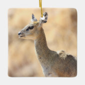Klipspringer-antilope Keramisch Ornament (Voorkant)