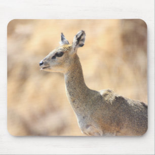 Klipspringer Muismat