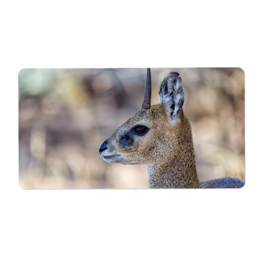 Klipspringer Portrait Etiket (Voorkant)