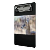 Klipspringer Portrait Mini Klembord (Angled2)