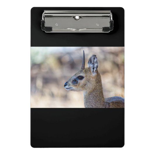 Klipspringer Portrait Mini Klembord (Voorkant)