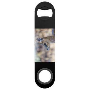 Klipspringer Portrait Speed Flessenopener