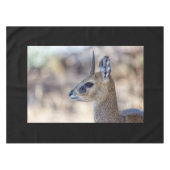 Klipspringer Portrait Tafelkleed (Voorkant (Horizontaal))
