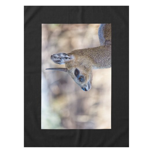 Klipspringer Portrait Tafelkleed (Voorkant)