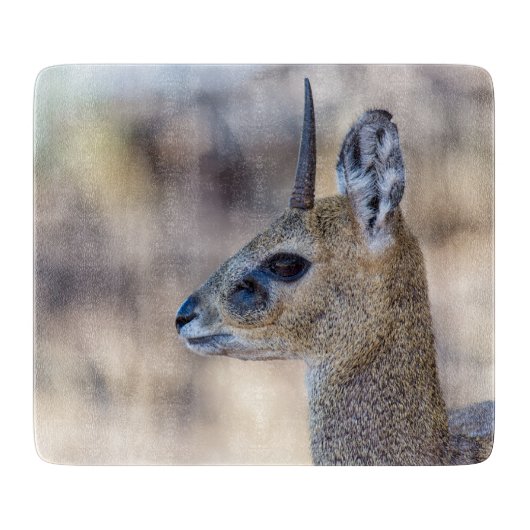Klipspringer-portret Snijplank (Voorkant)