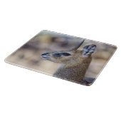 Klipspringer-portret Snijplank (Hoek)