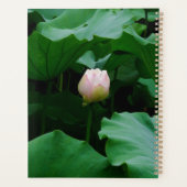 Kloeiend snel bord planner (Achterkant)