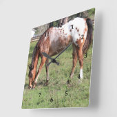 Klok, Appaloosa Horse Vierkante Klok (Hoek)