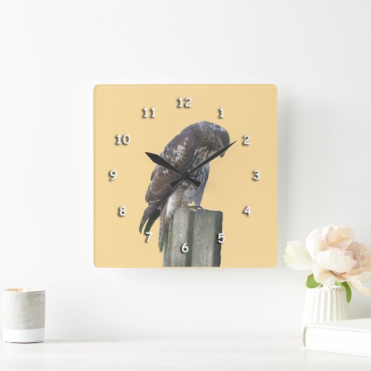 Klok - Falcon on Post (Huis)