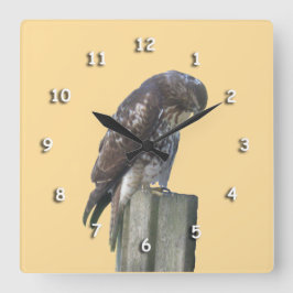 Klok - Falcon on Post