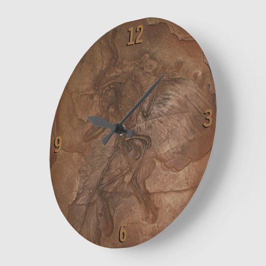 Klok - fossiel Archaeopteryx (Hoek)