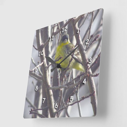 Klok - Gele vink in takken (Hoek)