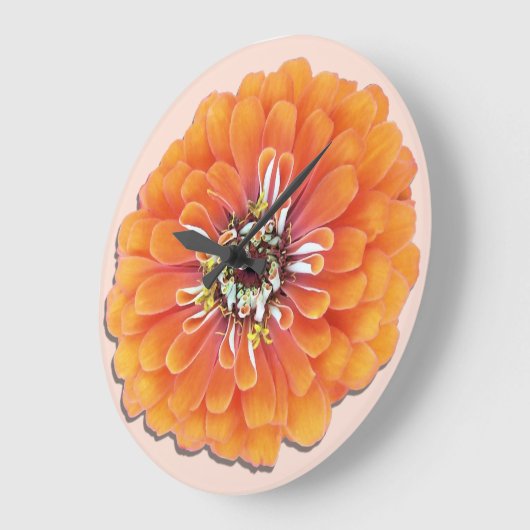 Klok - Oranje Zinnia (Hoek)