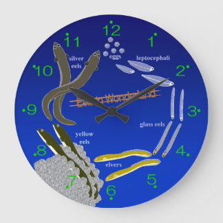 [Klok] paling in Wonderland Grote Klok