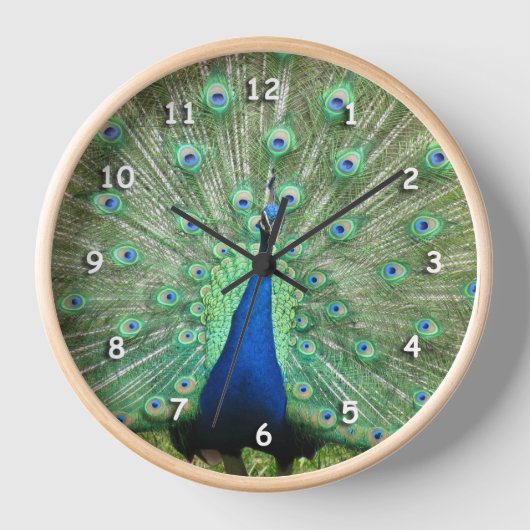 Klok - Peacock Tail Feathers (Voorkant)