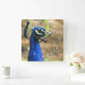 Klok - Portret Peacock (Huis)