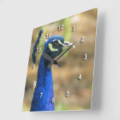 Klok - Portret Peacock (Hoek)