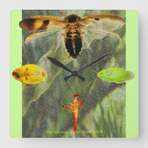 "Klok Roach" Roach-liefhebbers zullen hier van hou