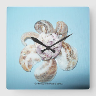 Klok - ShellFlower # 1.© Roseanne Pears 2012.