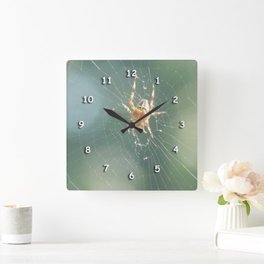 Klok - Spider op internet (Huis)