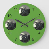 Klok - Uw Pet in de schijnwerpers (Voorkant)