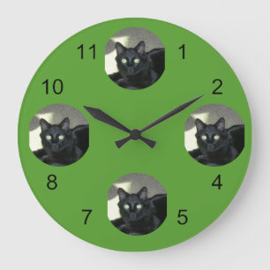 Klok - Uw Pet in de schijnwerpers