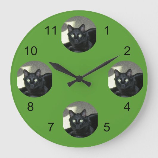 Klok - Uw Pet in de schijnwerpers (Voorkant)