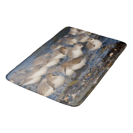 Klok van Dunlins en Sanderlings bij het strand Badmat (Gekanteld)