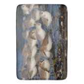 Klok van Dunlins en Sanderlings bij het strand Badmat (Voorkant Verticaal)