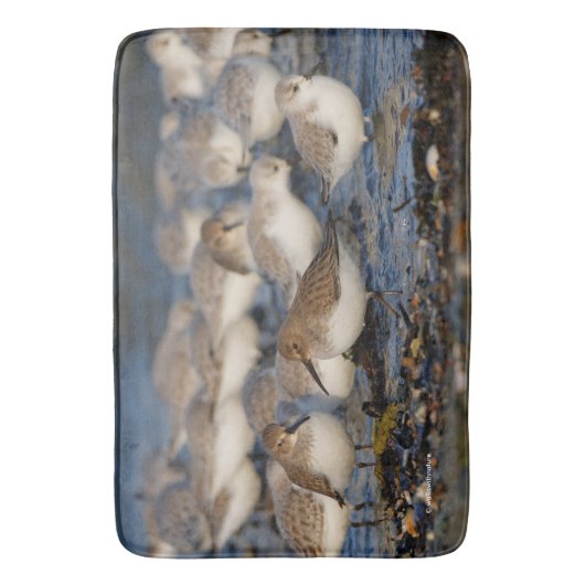 Klok van Dunlins en Sanderlings bij het strand Badmat (Voorkant Verticaal)